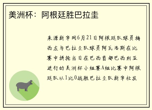 美洲杯：阿根廷胜巴拉圭